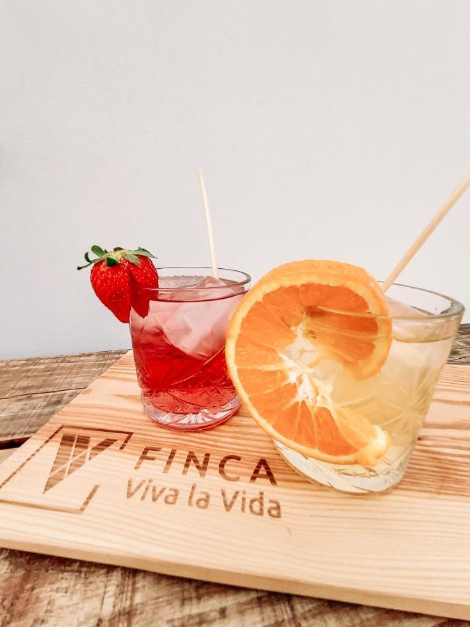 Finca Viva La Vida อะโลรา ภายนอก รูปภาพ